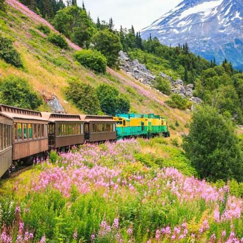 Best Alaska Shore Experiences