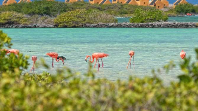 Best beaches in the Caribbean