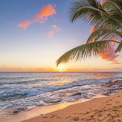 Dreaming of a white sand Christmas