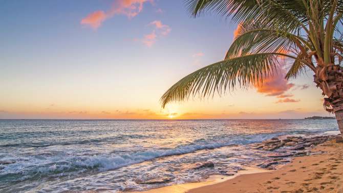 Dreaming of a white sand Christmas