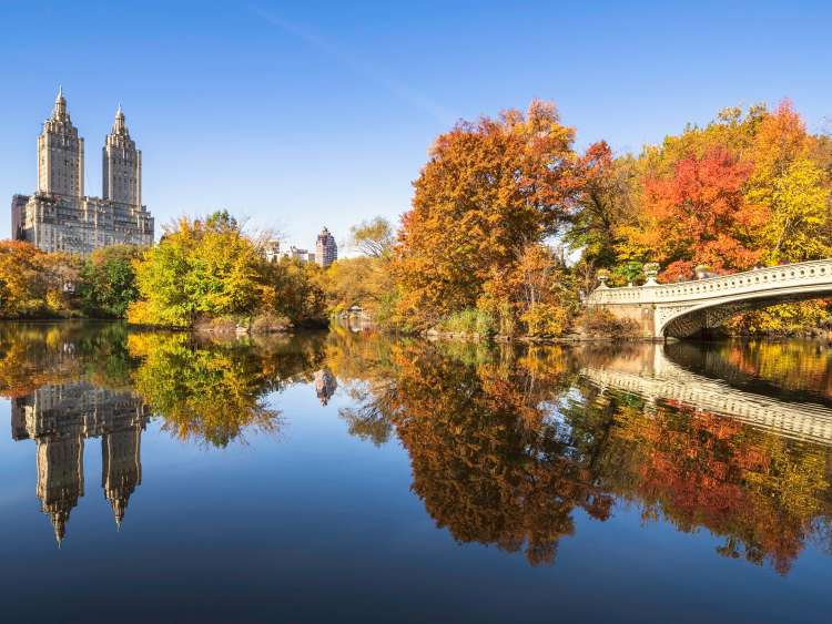 Reflections on the lake in Central Park, New York city, USA