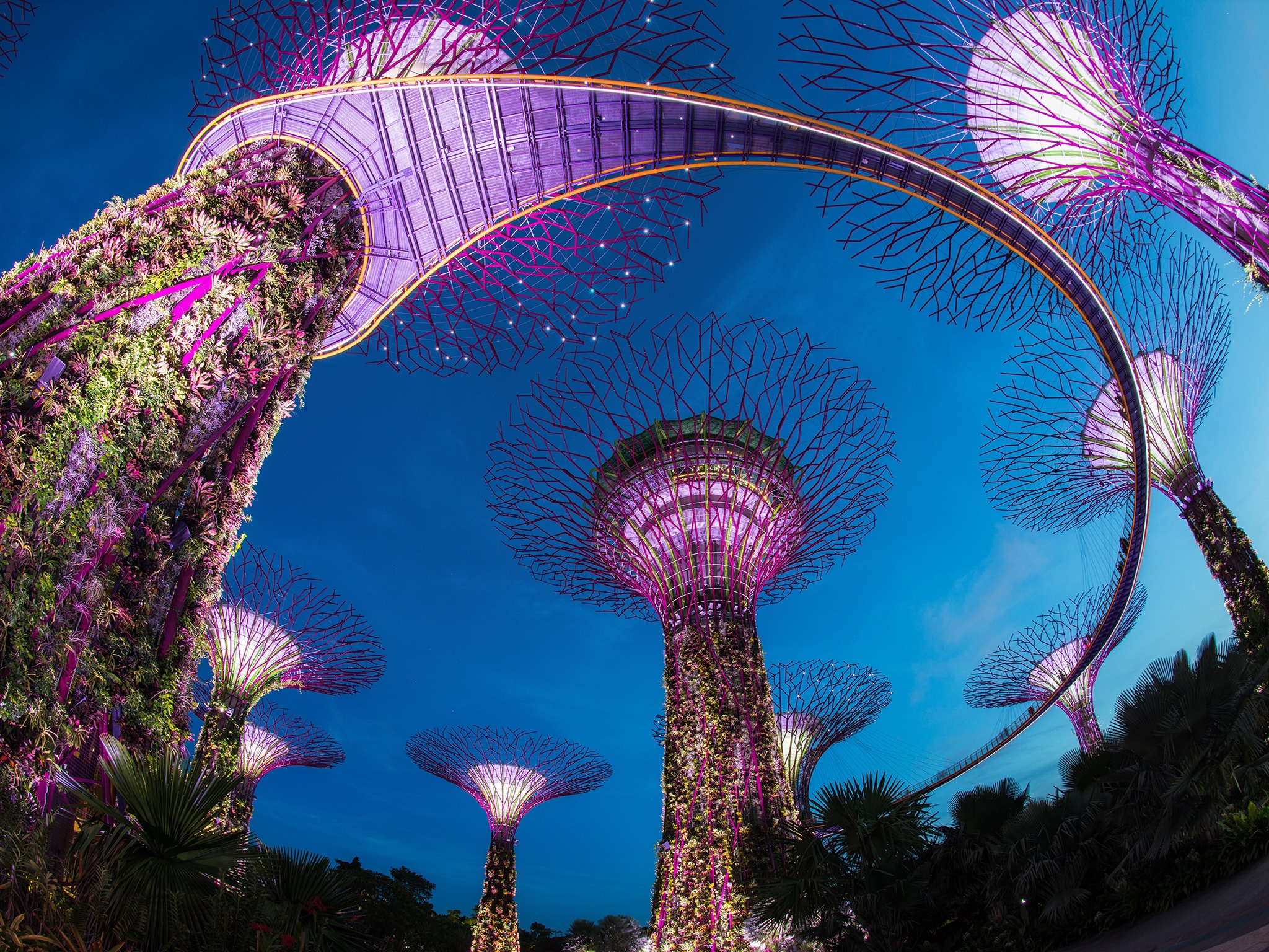 6 nights Hong Kong to Singapore March 2025 Cunard
