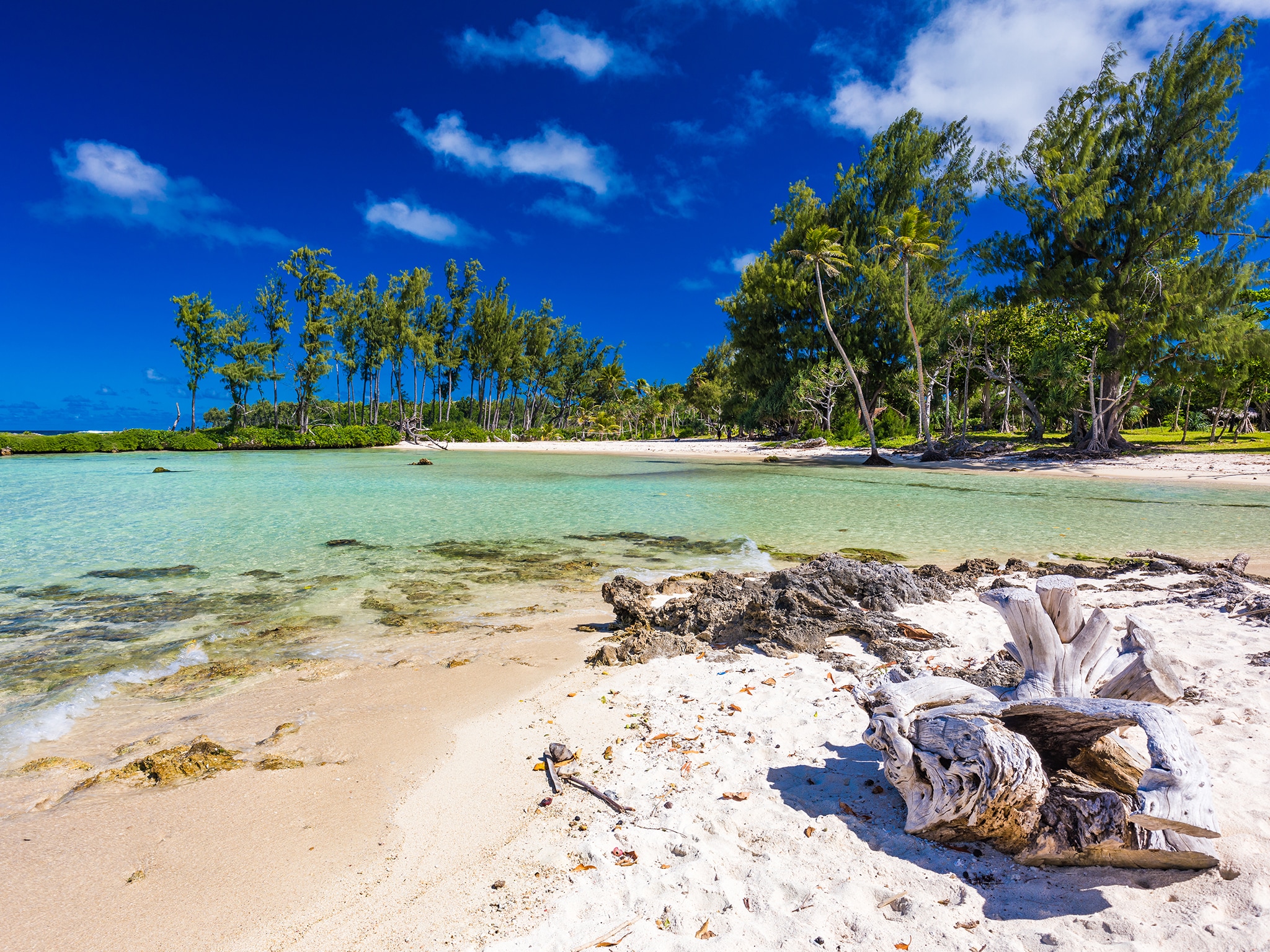 15 nights - South Pacific - January 2025 - Cunard