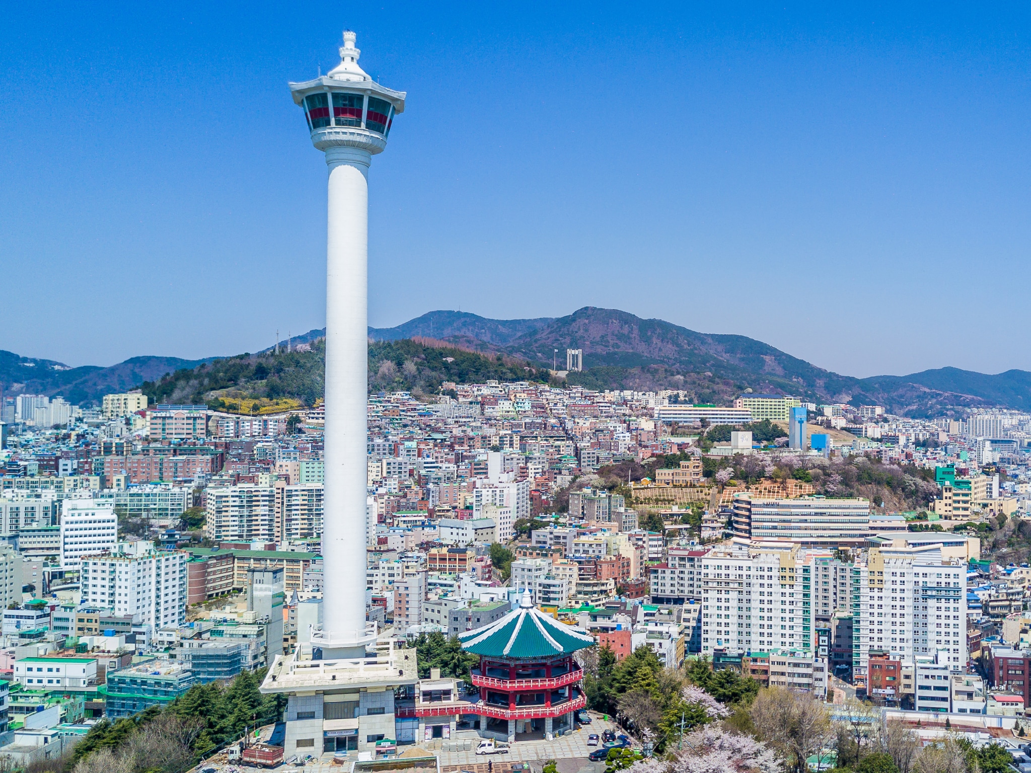 18 nights Japan Grand Voyage March 2025 Cunard