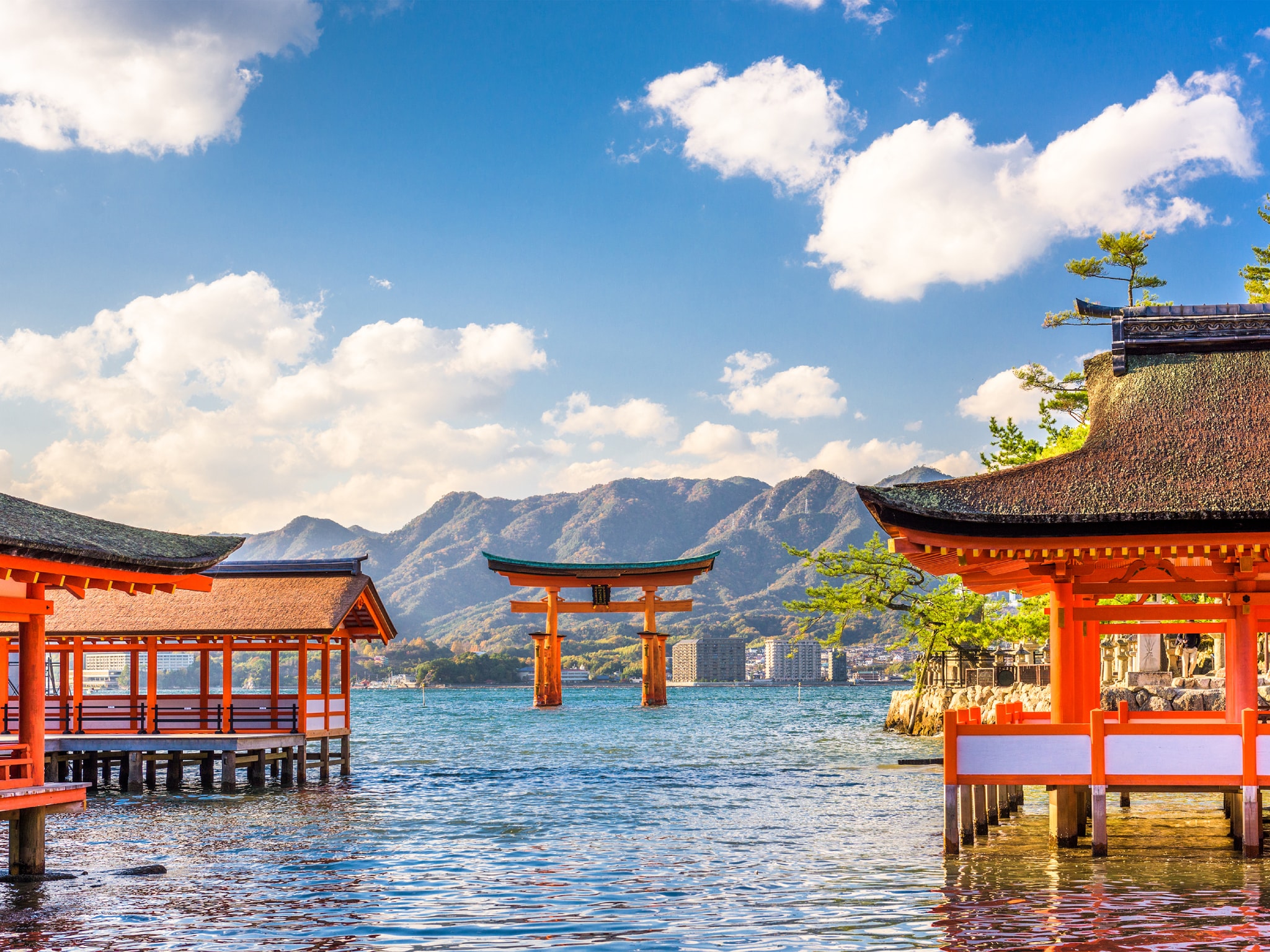 19 nights Japan Grand Voyage May 2025 Cunard