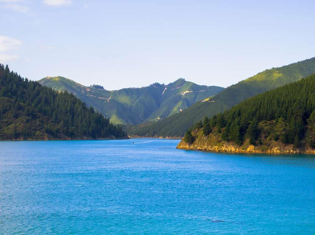  Cunard luxury world cruises and world cruise sectors 2024 & 2025 Illustration 