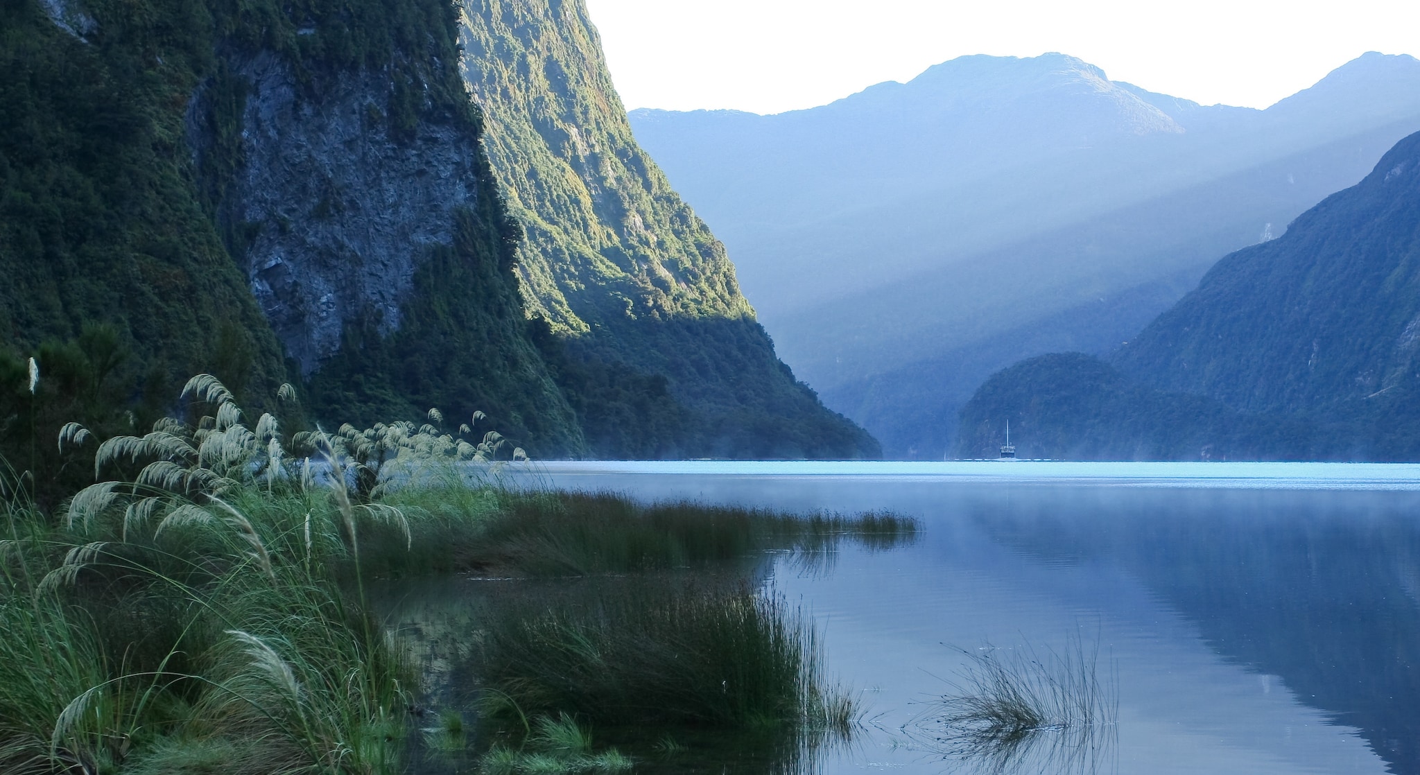 Doubtful Sound, New Zealand (Scenic Cruising)