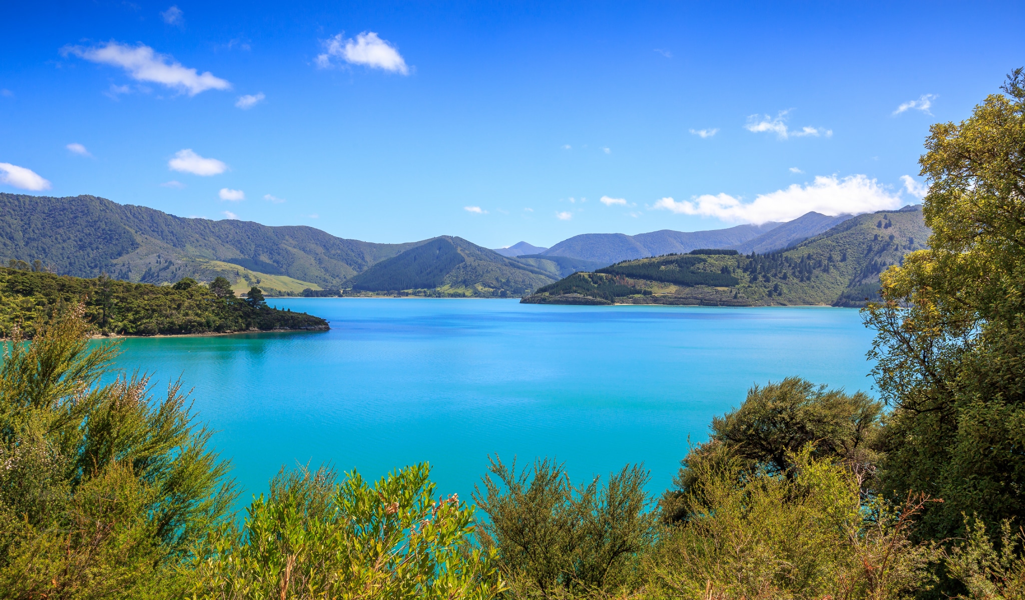 Queen Charlotte Sound, New Zealand