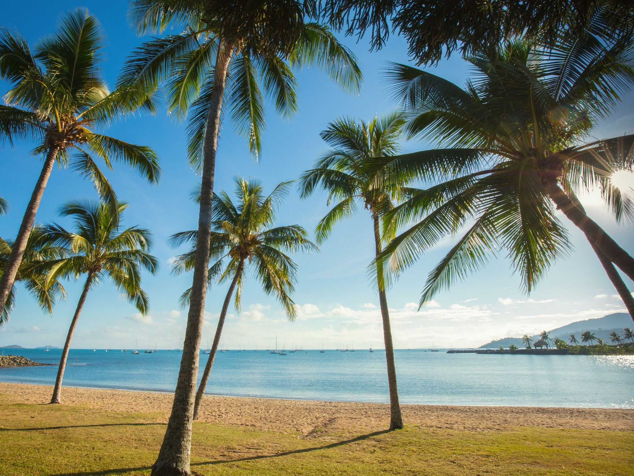 {"metadata_en_GB":{"alt-text":"A tropical beach in Arlie Beach, Australia, featuring tall palm trees framing a view of a sandy shore, grassy lawn, calm blue ocean water with distant boats, and hills under a bright blue sky."},"metadata_de_DE":{"alt-text":"A tropical beach in Arlie Beach, Australia, featuring tall palm trees framing a view of a sandy shore, grassy lawn, calm blue ocean water with distant boats, and hills under a bright blue sky."},"metadata_en_AU":{"alt-text":"A tropical beach in Arlie Beach, Australia, featuring tall palm trees framing a view of a sandy shore, grassy lawn, calm blue ocean water with distant boats, and hills under a bright blue sky."},"metadata_en_US":{"alt-text":"A tropical beach in Arlie Beach, Australia, featuring tall palm trees framing a view of a sandy shore, grassy lawn, calm blue ocean water with distant boats, and hills under a bright blue sky."}}