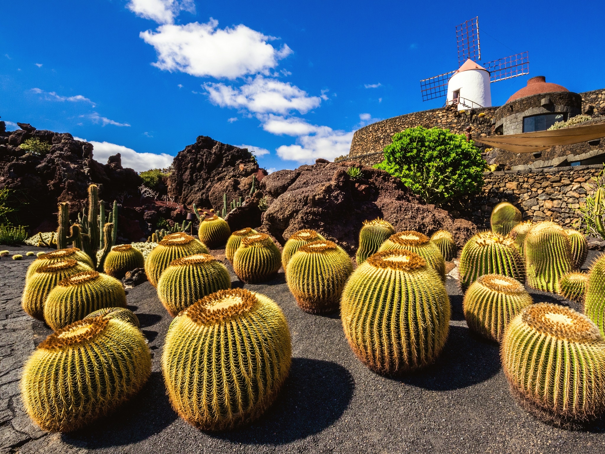{"metadata_en_GB":{"alt-text":"View of cactus garden in Guatiza, Lanzarote (islas Canarias). Spain"},"metadata_de_DE":{"alt-text":"View of cactus garden in Guatiza, Lanzarote (islas Canarias). Spain"},"metadata_en_AU":{"alt-text":"View of cactus garden in Guatiza, Lanzarote (islas Canarias). Spain"},"metadata_en_US":{"alt-text":"View of cactus garden in Guatiza, Lanzarote (islas Canarias). Spain"}}