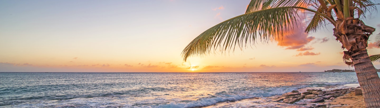 {"metadata_en_GB":{"alt-text":"Grand Cayman"},"metadata_de_DE":{"alt-text":"Grand Cayman"},"metadata_en_AU":{"alt-text":"Grand Cayman"},"metadata_en_US":{"alt-text":"Grand Cayman"}}