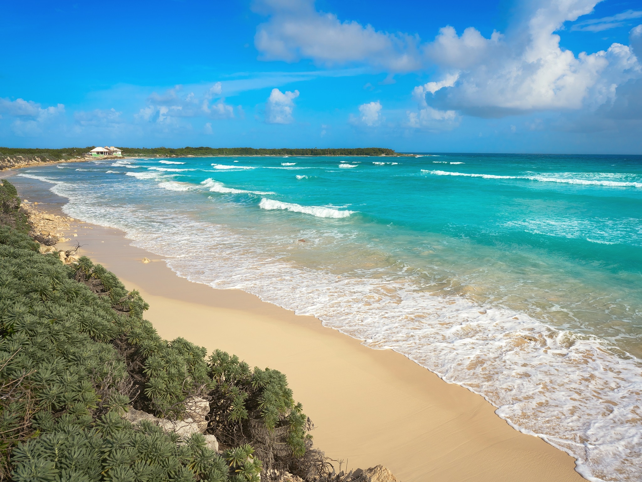 {"metadata_en_GB":{"alt-text":"Cozumel island El Mirador beach in Riviera Maya of Mexico"},"metadata_de_DE":{"alt-text":"Cozumel island El Mirador beach in Riviera Maya of Mexico"},"metadata_en_AU":{"alt-text":"Cozumel island El Mirador beach in Riviera Maya of Mexico"},"metadata_en_US":{"alt-text":"Cozumel island El Mirador beach in Riviera Maya of Mexico"}}