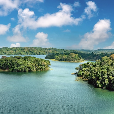 Protected nature surrounding Gatun Lake, a freshwater artificial lake to the south of ColÃ³n, Panama. It forms a major part of the Panama Canal