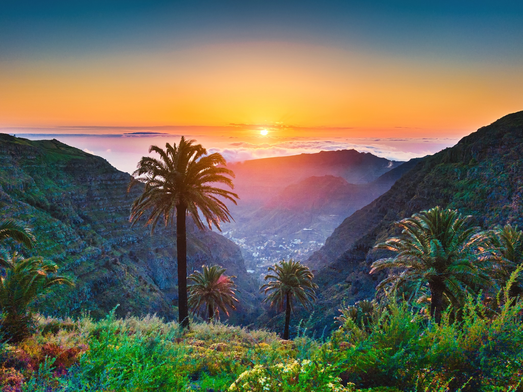 Beautiful view of amazing tropical scenery with exotic palm trees and mountain valleys above wide open sea in golden evening light at sunset with blue sky and clouds in summer, Canary Islands, Spain