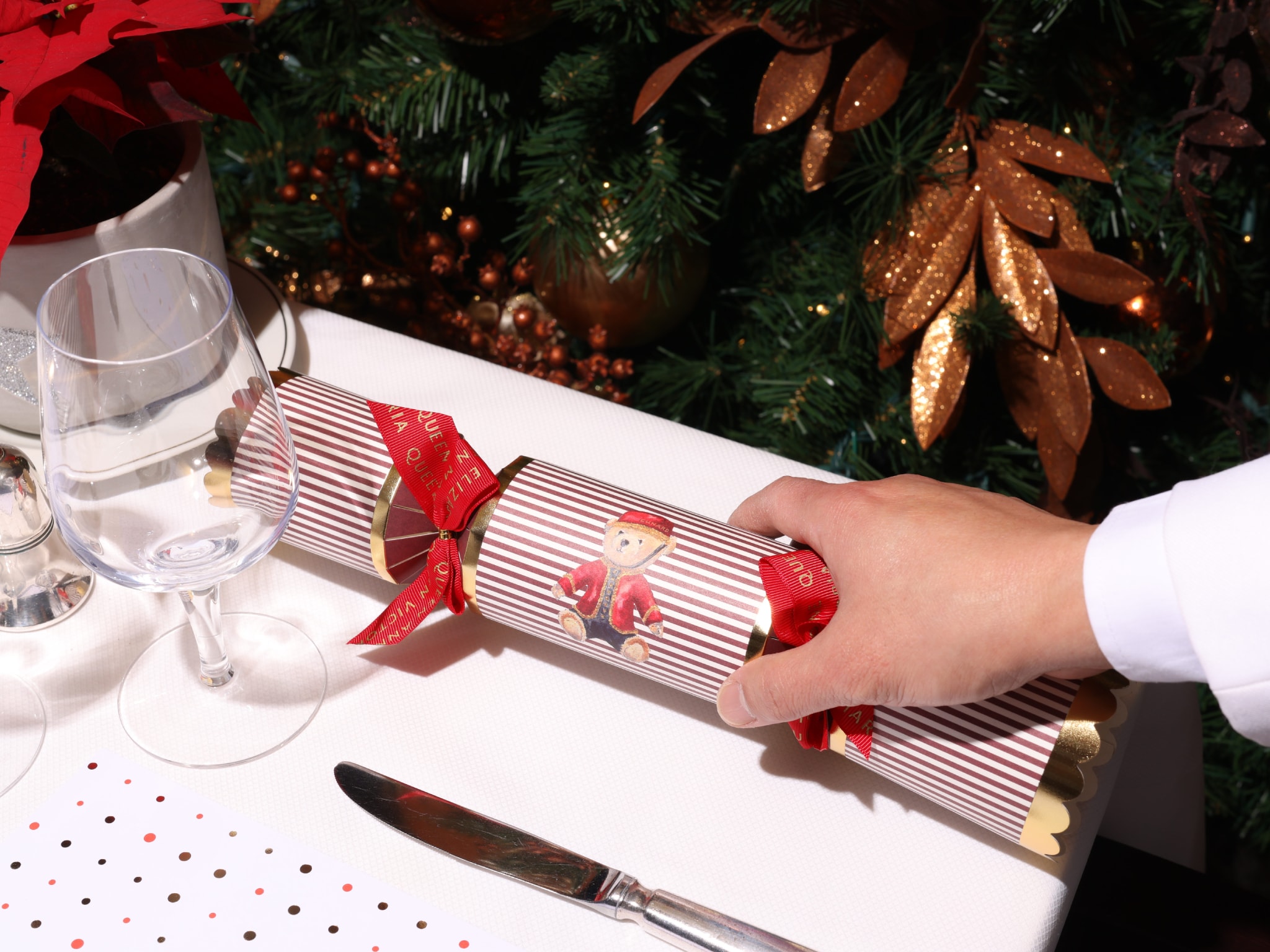 {"metadata_en_GB":{"alt-text":"Christmas cracker on board"},"metadata_en_AU":{"alt-text":"Christmas cracker on board"},"metadata_en_US":{"alt-text":"Christmas cracker on board"}}