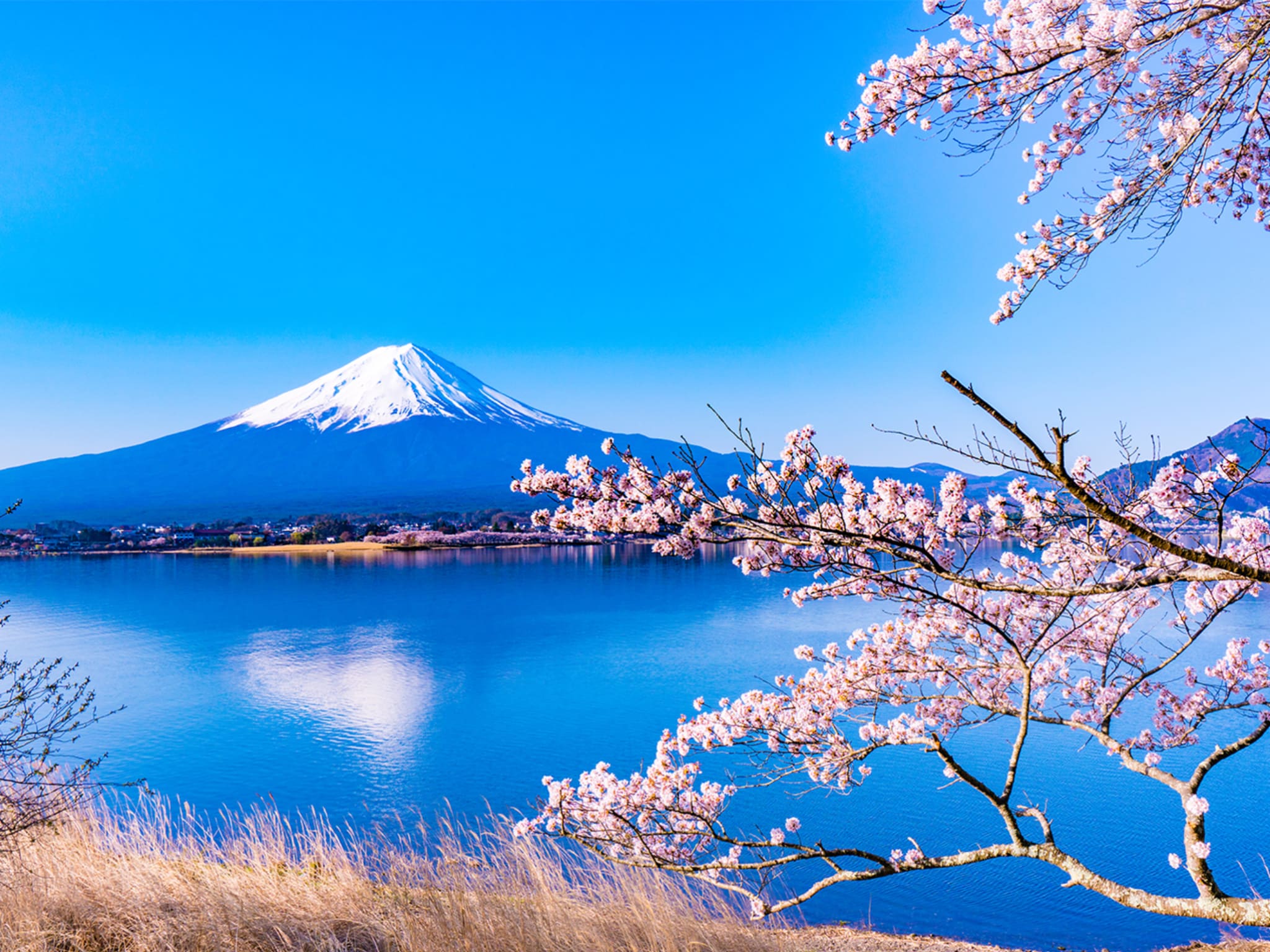 9 nights - Japan Circumnavigation - March 2025 - Cunard