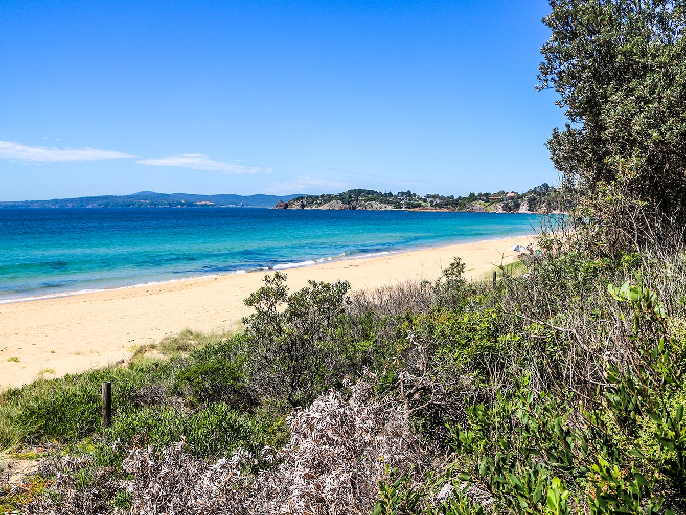 {"metadata_en_GB":{"alt-text":"Aslings Beach, Eden, New South Wales, Australia"},"metadata_de_DE":{"alt-text":"Aslings Beach, Eden, New South Wales, Australien"},"metadata_en_AU":{"alt-text":"Aslings Beach, Eden, New South Wales, Australia"},"metadata_en_US":{"alt-text":"Aslings Beach, Eden, New South Wales, Australia"},"metadata_ja_JP":{"alt-text":"Asuringusubīchi, eden, nyūsausuu~ēruzu-shū, ōsutoraria"}}