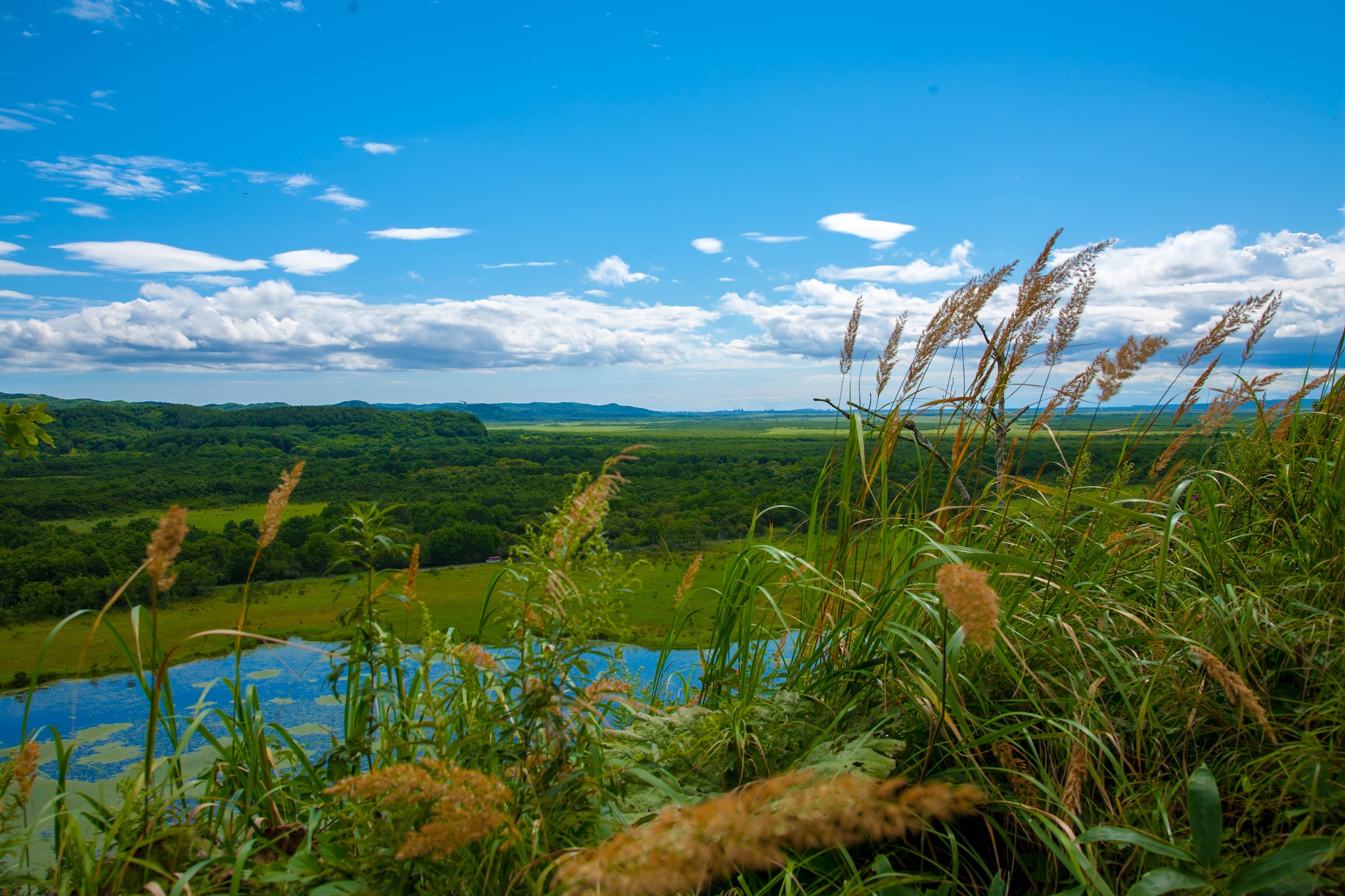 Scenery of Kushiro Marsh; Shutterstock ID 1118275391; Invoice Number: -