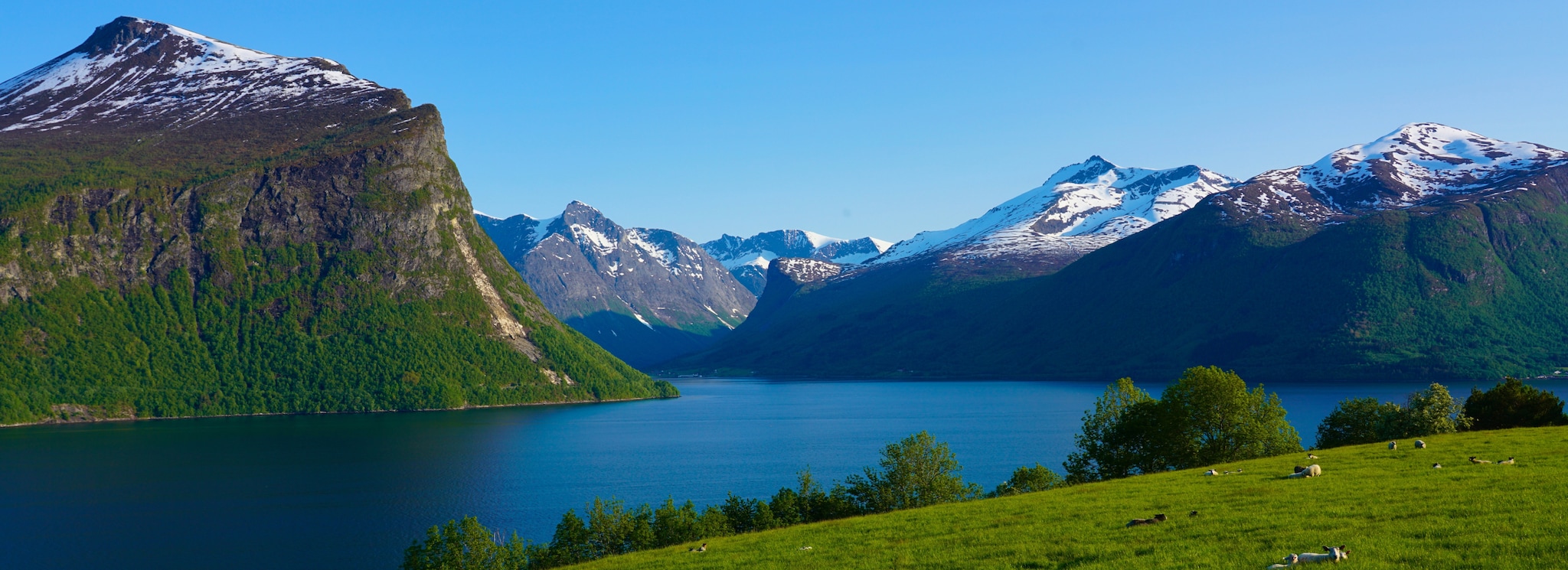 {"metadata_en_GB":{"alt-text":"Molde, Norway"},"metadata_en_AU":{"alt-text":"Molde, Norway"},"metadata_en_US":{"alt-text":"Molde, Norway"}}