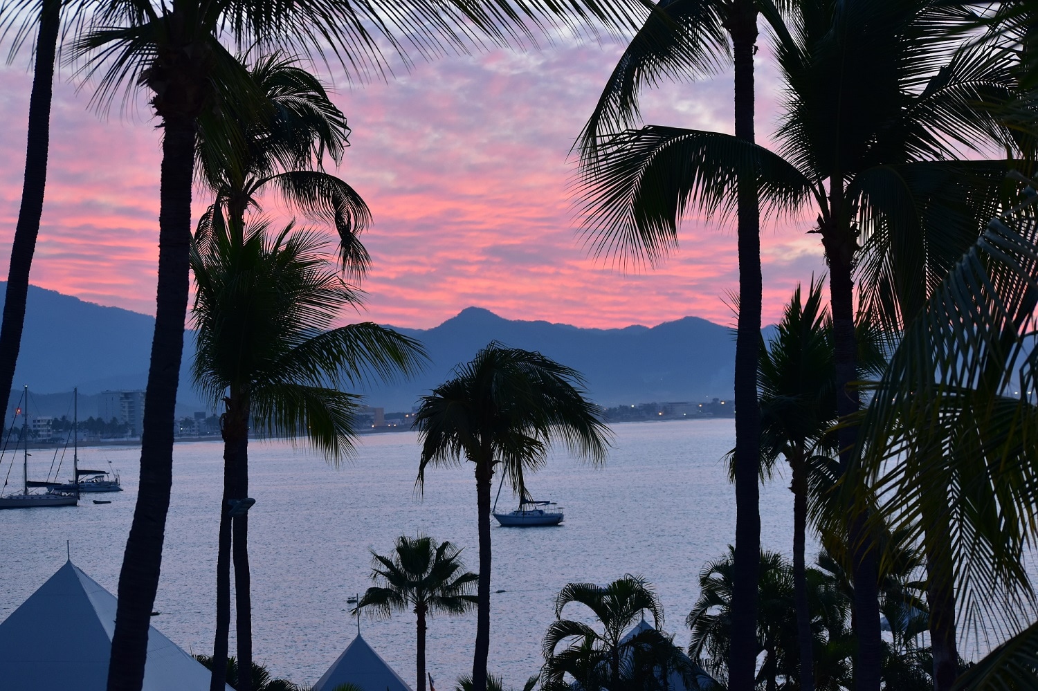Boats at anchor in Manzanillo Bay with palm trees at sunrise. ; Shutterstock ID 577894432; purchase_order: n/a; job: Manzanillo, Mexico; client: cunard_digital; other: 