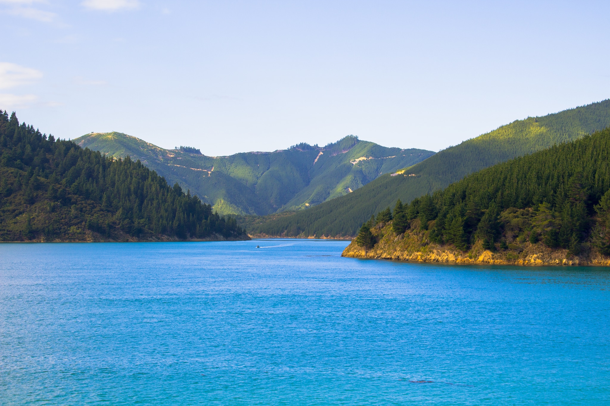 Best view Ferry Wellington to Picton arong Choppy sea., Route between North and South of New Zealand; Shutterstock ID 555876856; Purchase Order: -