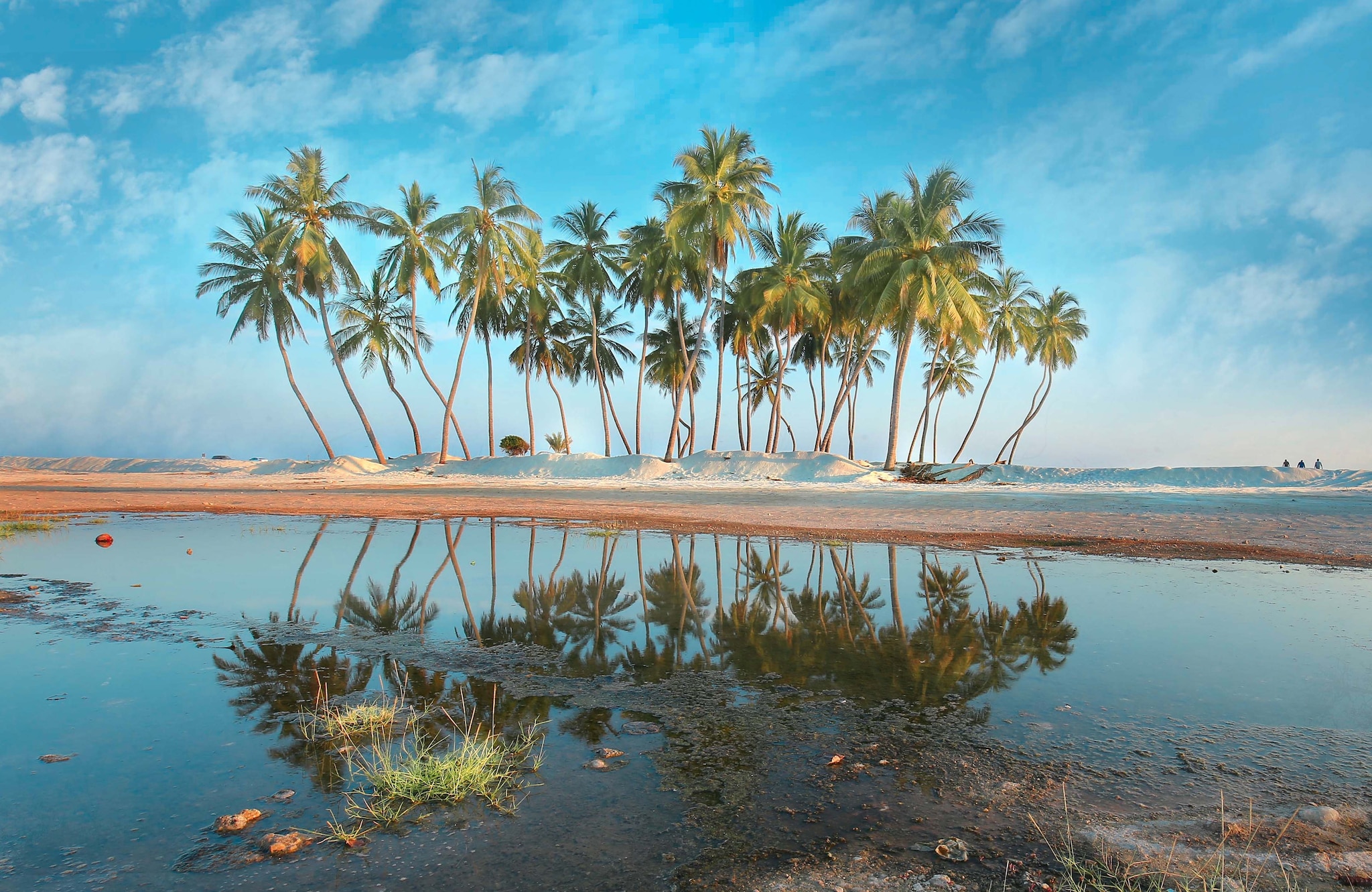 {"metadata_en_GB":{"alt-text":"Palm trees, Salalah Beach, Oman"},"metadata_de_DE":{"alt-text":" Palmen, Salalah Beach, Oman"},"metadata_en_AU":{"alt-text":"Palm trees, Salalah Beach, Oman"},"metadata_en_US":{"alt-text":"Palm trees, Salalah Beach, Oman"},"metadata_ja_JP":{"alt-text":"Yashinoki, sarārabīchi, omān"}}