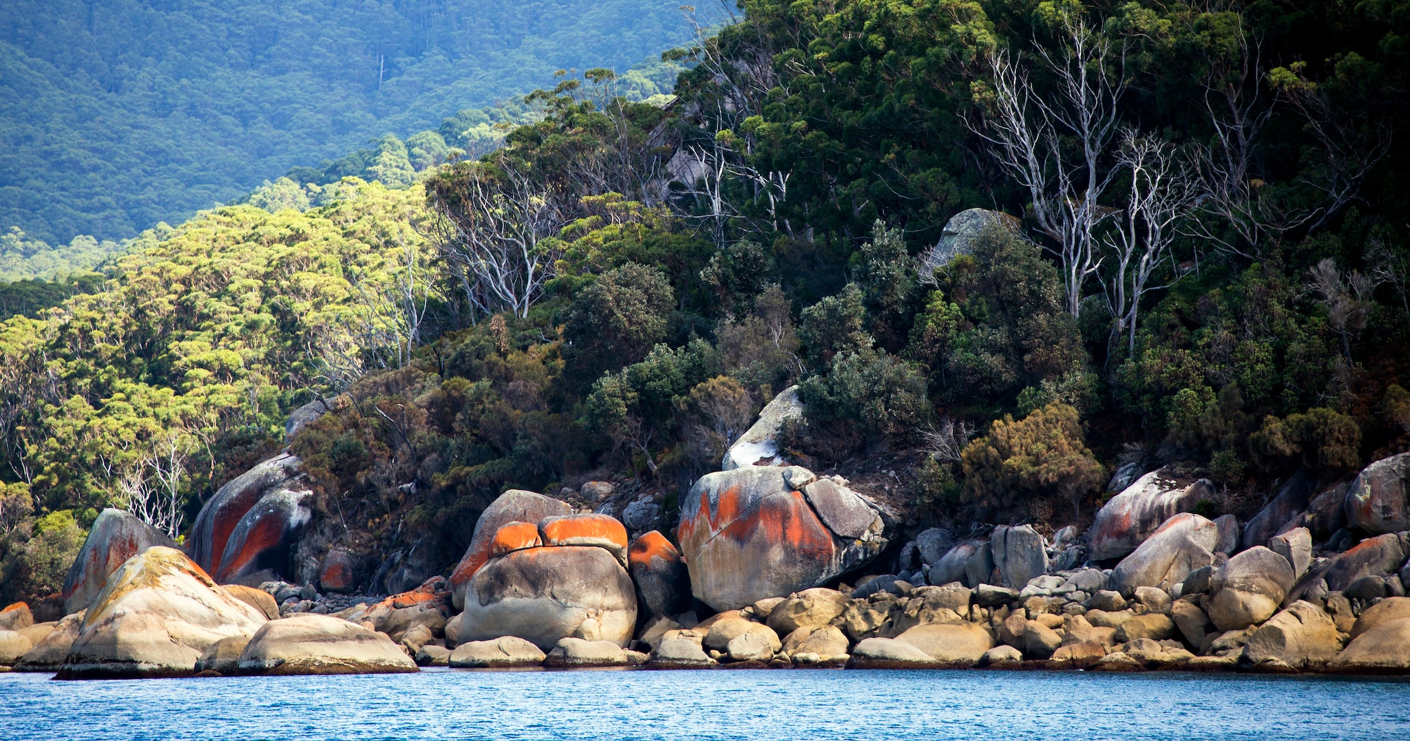 The rugged, granite strewn coastline of Victoria's famous tourist destination, Wilsons Promontory National Park in South Gippsland, Australia.; Shutterstock ID 1067042330; Invoice Number: -