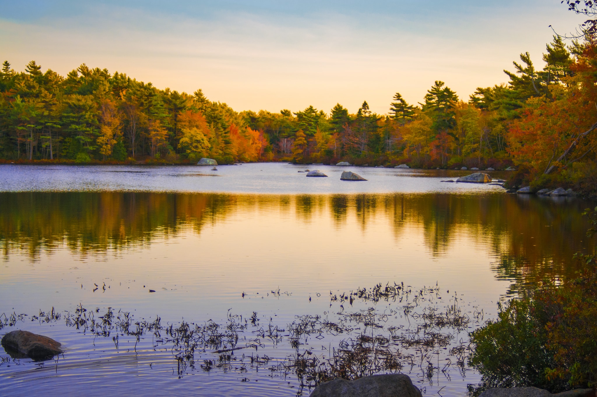 {"metadata_en_GB":{"alt-text":"Serene landscape of a forest lake reflection during the fall season at Frog Pond Park in Halifax, Nova Scotia. "},"metadata_de_DE":{"alt-text":"Idyllische Landschaft mit Spiegelung eines Waldsees im Herbst im Frog Pond Park in Halifax, Nova Scotia."},"metadata_en_AU":{"alt-text":"Serene landscape of a forest lake reflection during the fall season at Frog Pond Park in Halifax, Nova Scotia. "},"metadata_en_US":{"alt-text":"Serene landscape of a forest lake reflection during the fall season at Frog Pond Park in Halifax, Nova Scotia. "}}