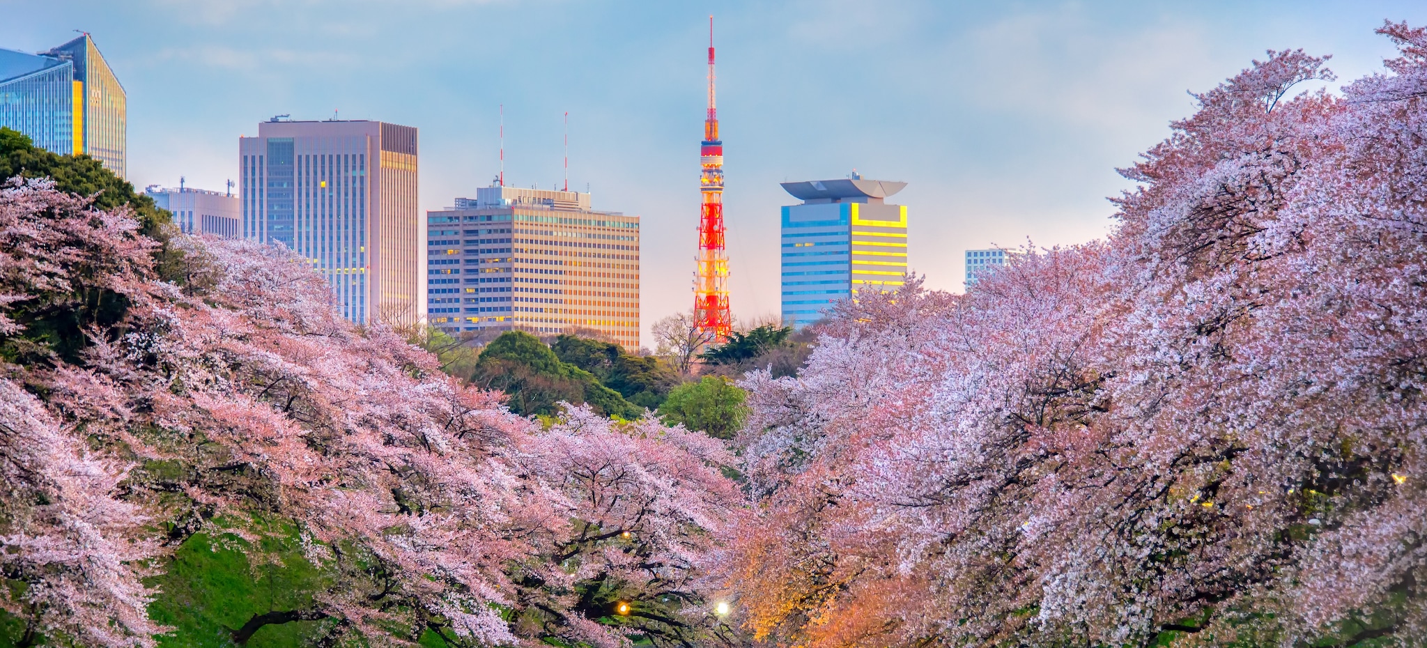 {"metadata_en_GB":{"alt-text":"Scenic view of the cherry blossom season in Tokyo, Japan, featuring the iconic Tokyo Tower surrounded by Sakura trees. "},"metadata_de_DE":{"alt-text":"Malerische Ansicht zur Kirschblütenzeit in Tokio, Japan, mit dem ikonischen Tokyo Tower, umgeben von Sakura-Bäumen."},"metadata_en_AU":{"alt-text":"Scenic view of the cherry blossom season in Tokyo, Japan, featuring the iconic Tokyo Tower surrounded by Sakura trees. "},"metadata_en_US":{"alt-text":"Scenic view of the cherry blossom season in Tokyo, Japan, featuring the iconic Tokyo Tower surrounded by Sakura trees. "}}